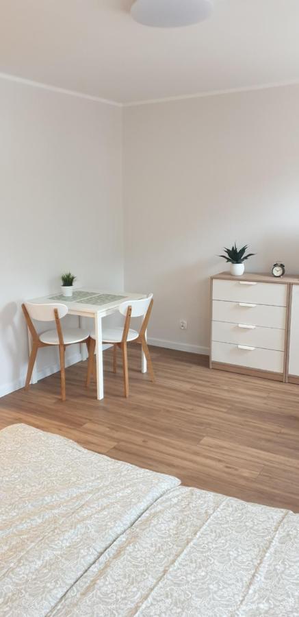 Apartament Przy Starym Miescie 埃尔布隆格 外观 照片