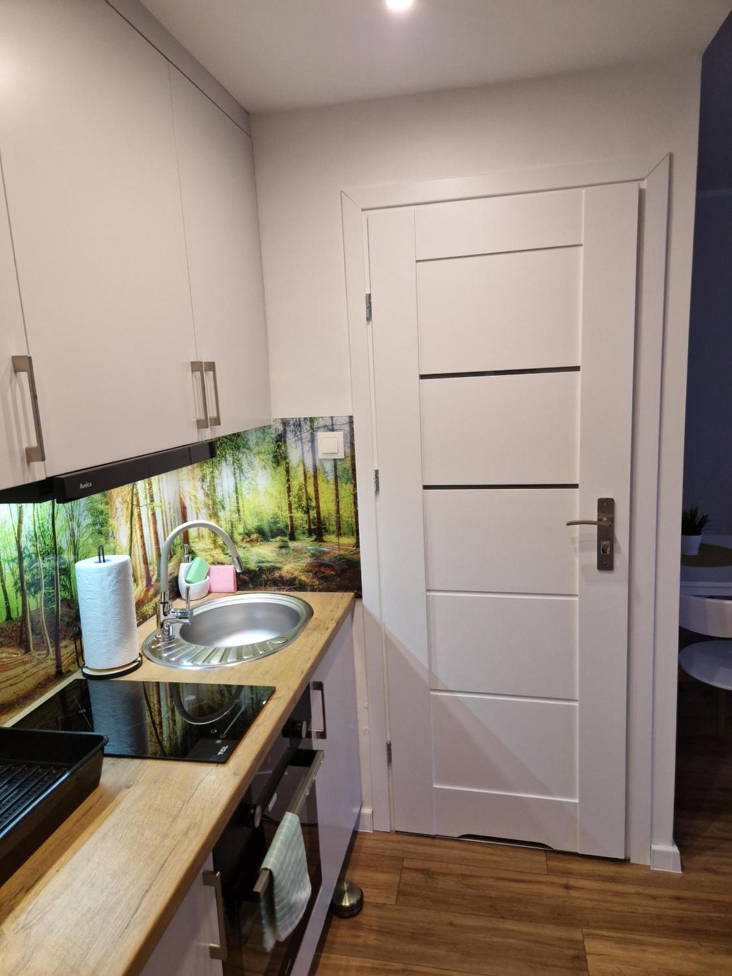 Apartament Przy Starym Miescie 埃尔布隆格 外观 照片